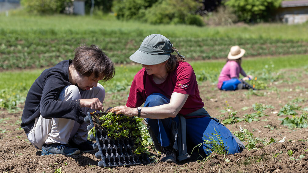 20210531pl336 20210531pl336