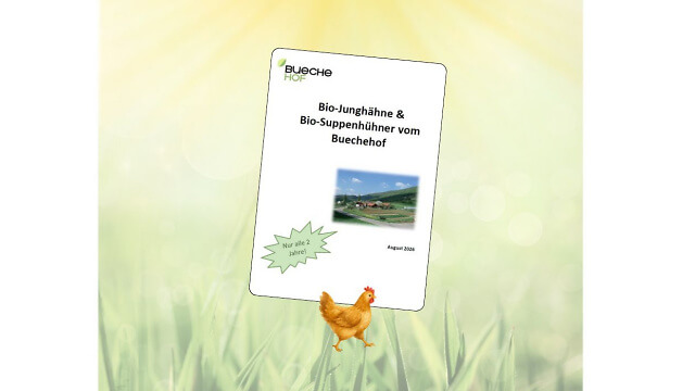 Jungh&auml;hne Suppenh&uuml;hner
