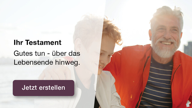 Testament Banner 300x250 NoBrand DE